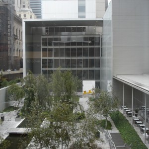 Museum of Modern Art 
-New York, NY