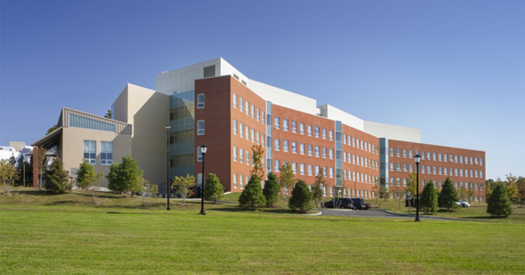 suny-modified-1